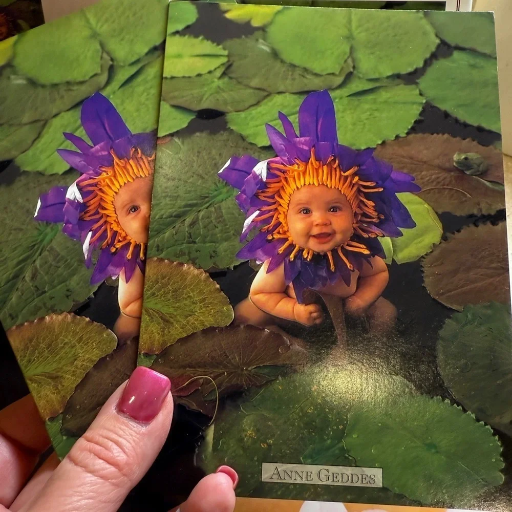 Vintage The Anne Geddes Collection Greet Cards